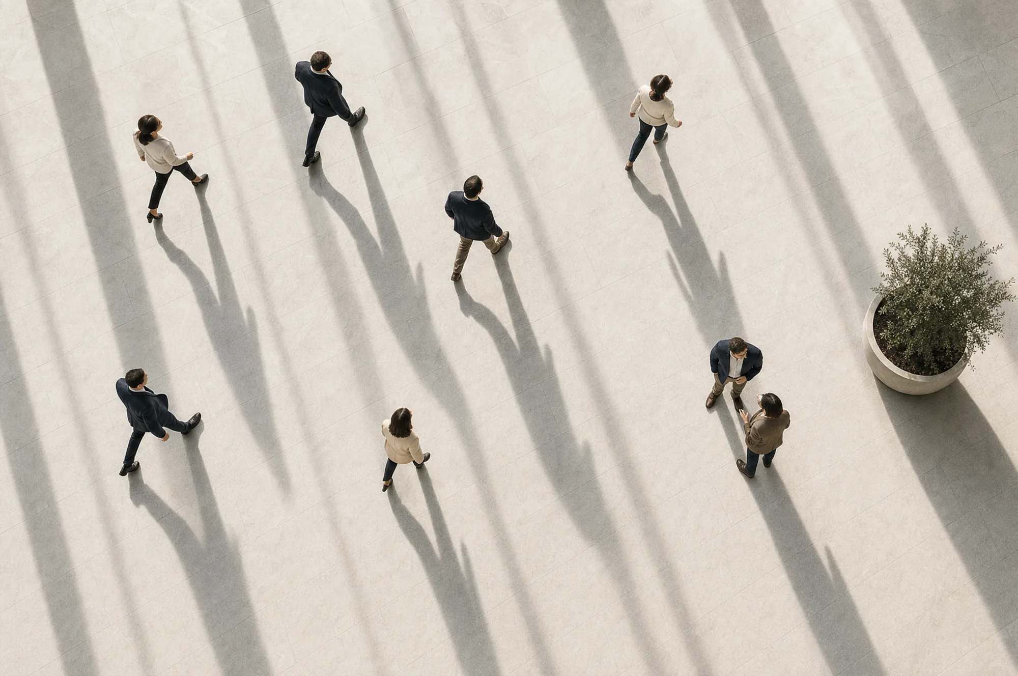 An overhead view of people crossing a bright stone plaza, their long shadows fanning out behind them