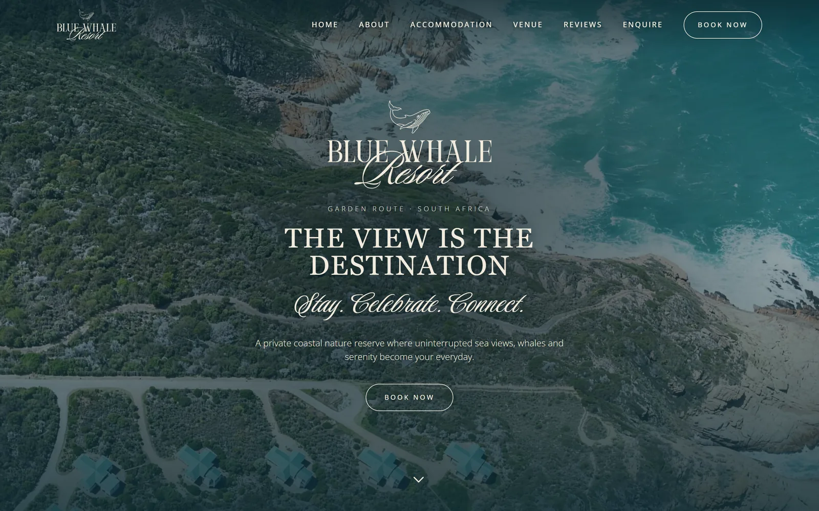 The new Blue Whale home page on a desktop