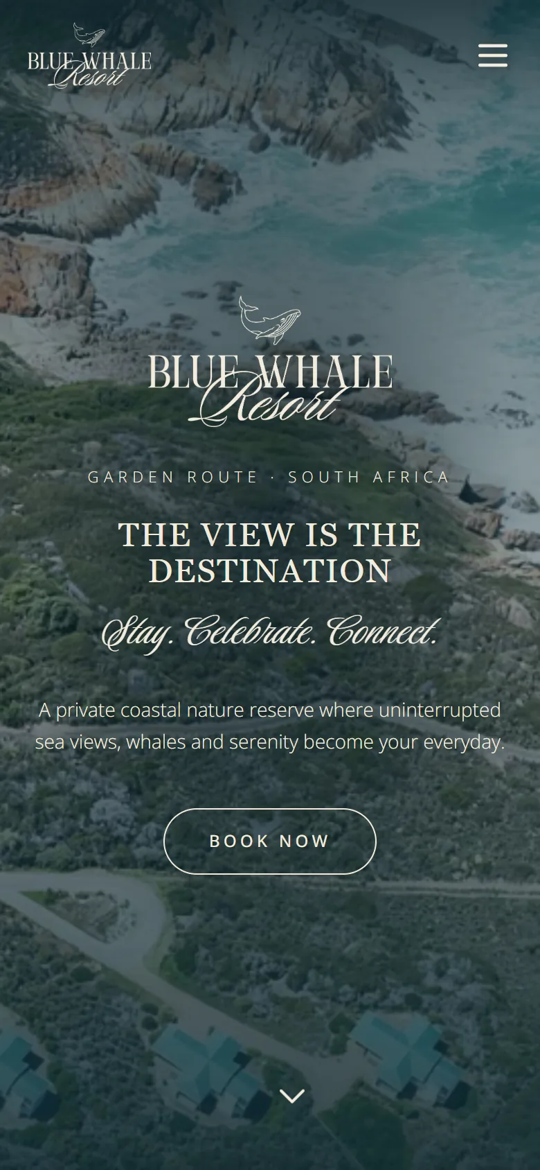 The new Blue Whale home page on a phone