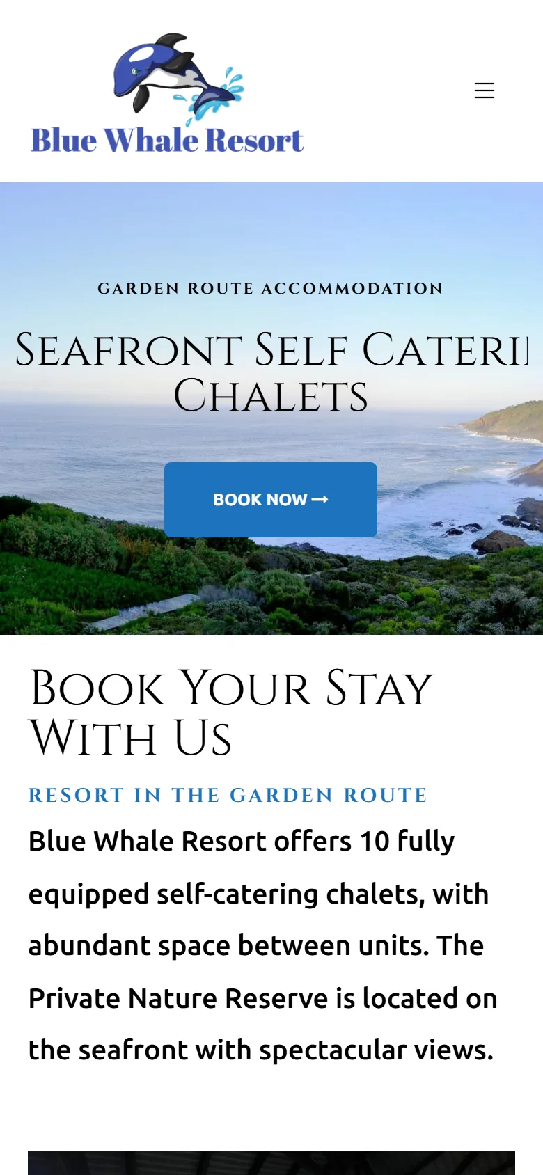The old Blue Whale home page on a phone